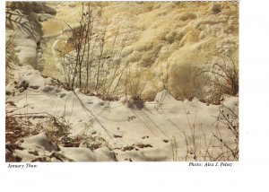 January Thaw Hamilton Ontario Spectator