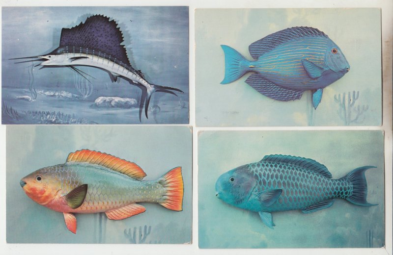 P2960, 4 ca1954 postcards colorful fish with sailfish