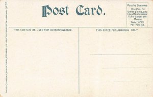 LPS73 PLUM ISLAND Massachusetts Marshes Postcard