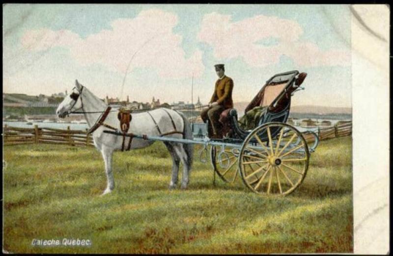 canada, QUEBEC, Caleche, Barouche, Horse Cart (1910s) (2)