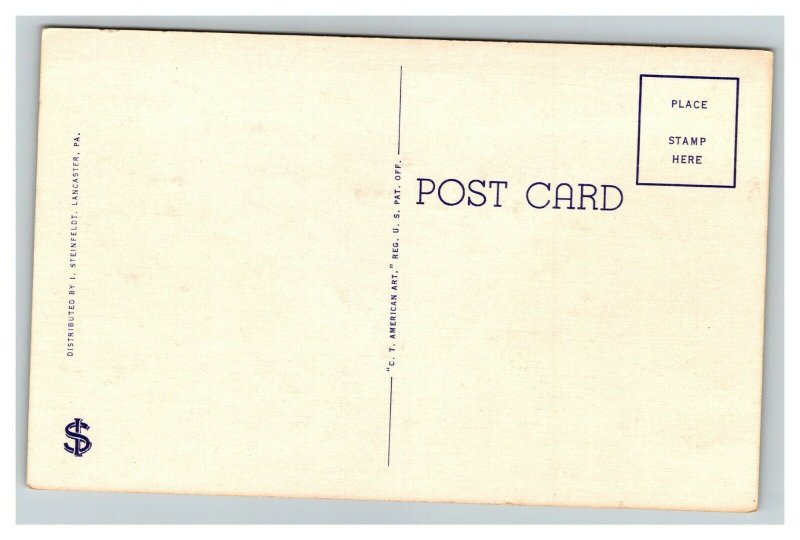 Vintage 1940's Postcard Amish Men of Lancaster County Pennsylvania