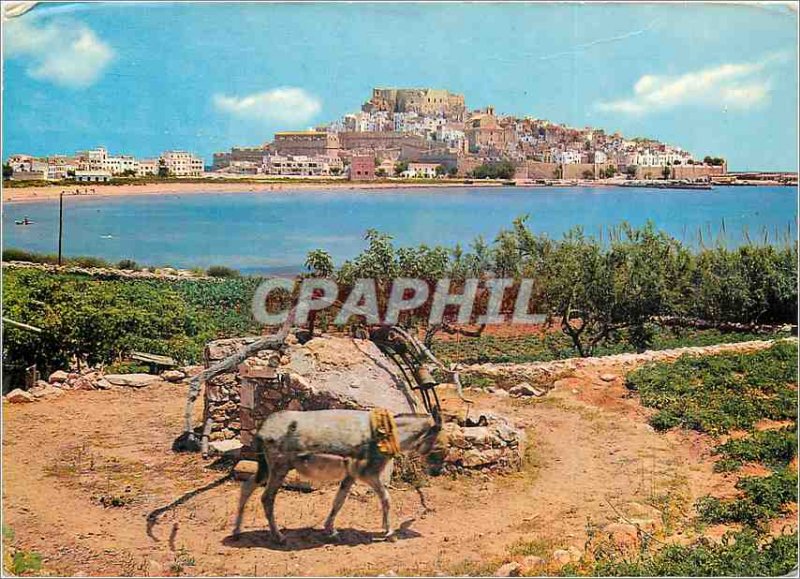 Postcard Modern Peniscola No 113 is the waterwheel vista general Donkey Donkey