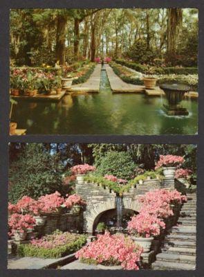 AL Lot 5 Bellingrath Gardens Theodore ALABAMA Postcards