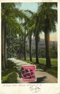 PC CPA US, HAWAII, HONOLULU, ROYAL PALM AVENUE, Vintage Postcard (b21294)