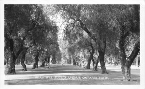 Postcard RPPC Ontario Beautiful Euclid Avenue 1949 23-6885