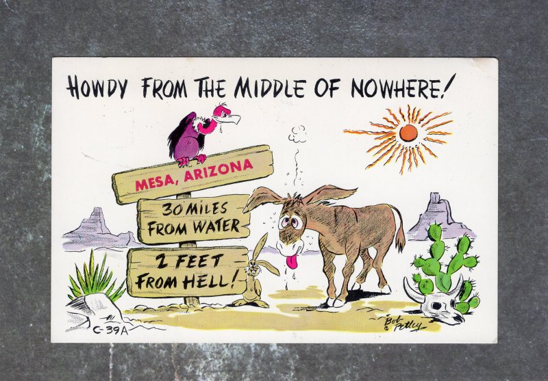 Howdy From The Middle of Nowhere Postcard Humor Donkey Vulture Desert Cactus