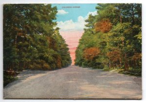 Rehoboth Beach Delaware Buildings Lighthouse Scenic View Postcard Folder AA21067