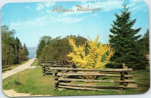 postcard Hillman Michigan - Forsythia inside split rail fence