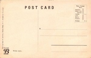 The Sphynx Rock, Catskill Mountains NY Vintage Postcard B48