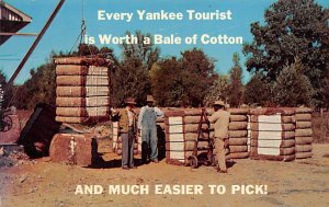 Greetings From Dixie Every Yankee Tourist is Worth a Bale of Cotton Cotton Re...