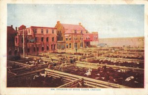 Circa 1908 Interior of Stock Yards, Chicago, IL. Beef Cattle ion Pens Postcard