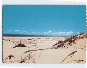 Postcard Beautiful Sand Dunes Gulf Coast of Texas USA