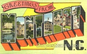 montreat NC  USALarge Letter Postcard