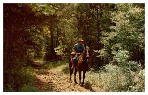 Postcard ANIMAL SCENE Natchez Mississippi MS AS2853
