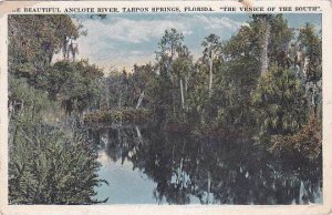 Florida Tarpon SpringThe Beautiful Ancote River The Venice Of The South