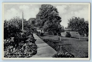 Morrisburg Ontario Canada Postcard View Of Walk To Cottage Allison's Farms