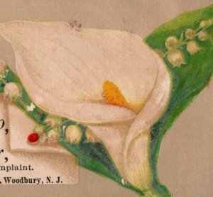 1880s Boschee's German Syrup & Green's August Flower Quack Med. Calla Lily P56