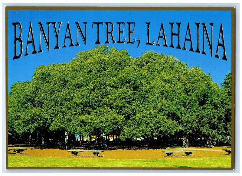 1995 Lahaina Banyan Tree Hawaii HI Maui Vintage Unposted Postcard