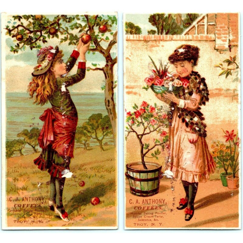 x2 SET c1880s Troy, New York C.A Anthony Coffee Trade Card Cute Young Girls C16
