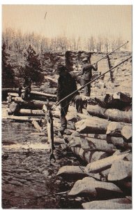 Spearing Sturgeon In The Lower Dells, Wisconsin, Vintage Chrome Sepia Postcard