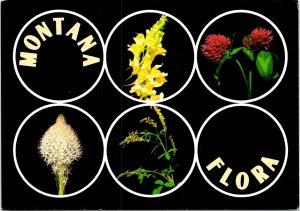Butter and Eggs, Clover, Beargrass, Sweet Clover Flowers Flora  Montana POSTCARD