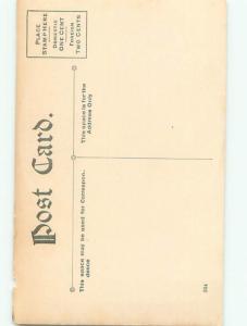 Divided-Back PRETTY WOMAN Risque Interest Postcard AA8070