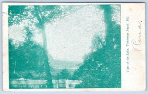 1907 TOLCHESTER BEACH MD MARYLAND VIEW OF THE LAKE GREEN TINT POSTCARD