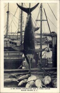 Block Island RI Tuna Fish Catch 1940s Postcard