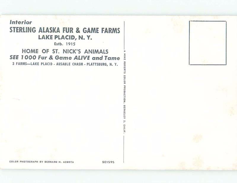 Pre-1980 postcard ad STERLING ALASKA FUR & GAME FARMS Lake Placid NY E7336