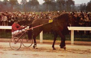 Maywood Park, Lake Michigan, Illinois, USA Horse Racing, Trotters, 1955 