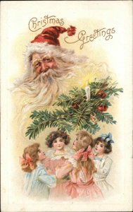 Christmas Young Girls Children Santa Claus Pine Bough c1910 Vintage Postcard