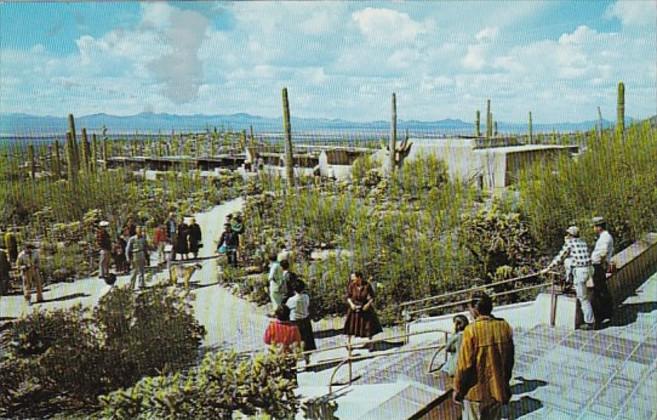 Arizona Tucson View From The Remada Porch Of The Arizona Sonora Desert Museum...