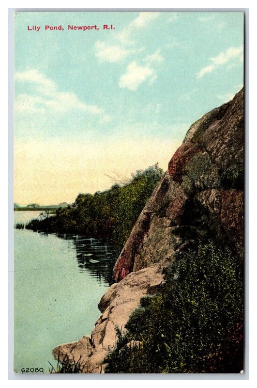 Lily Pond Newport Rhode Island RI UNP DB Postcard T4