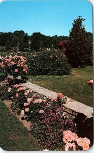 Postcard GARDEN SCENE Newark New Jersey NJ AI5796