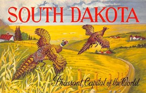 Pheasant capital of the world  State Bird SD 