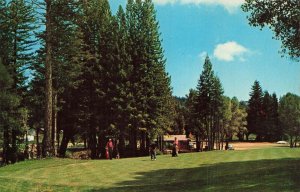 BOULDER CREEK CALIFORNIA~COUNTRY CLUB GOLF COURSE-CHALLENGE TO MR GOLF POSTCARD