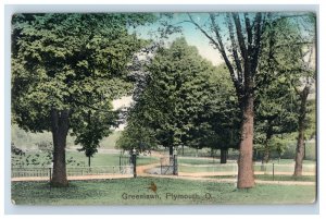 C.1910 Greenlawn Cemetery Plymouth Ohio Scene Hand Colored Postcard P141