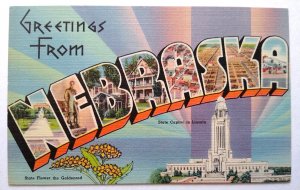 Greetings From Nebraska Postcard Large Letter Tichnor Unused Goldenrod Flower