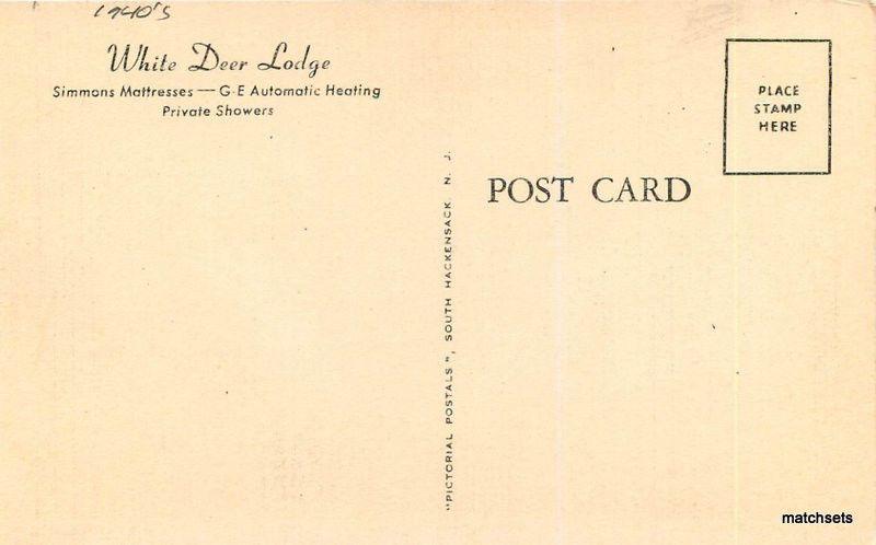 1940s PARSIPPANY NEW JERSEY  White Deer Lodge roadside postcard 3527