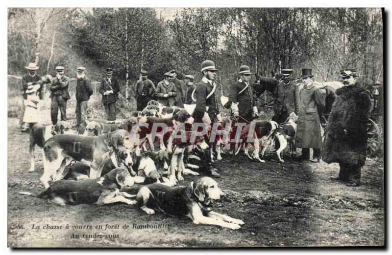 Old Postcard Hunting hounds was in Rambouillet forest with return Dog Dogs TOP