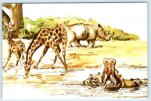 BARBARA KNUTSON Artist Signed COUNT YOUR WAY THROUGH AFRICA  4x6 Postcard