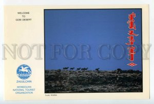 488746 GOBI Desert Mongolia Exotic Wildlife ADVERTISING Zhuulchin TOURISM