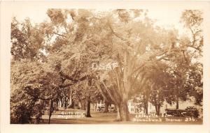 A94/ Kennebunk Maine Me RPPC Real Photo Postcard c1910 Lafayette Elm Large Tree