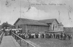 Cambridge Springs Pennsylvania Gray Mineral Springs Antique Postcard K88126