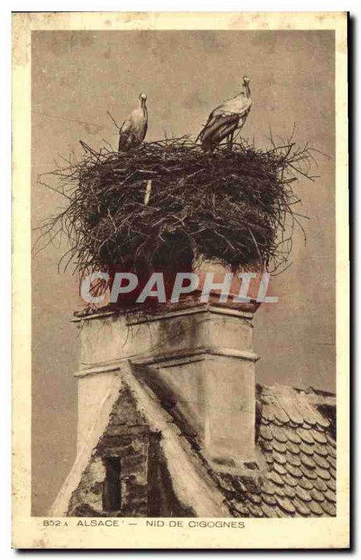 Old Postcard Alsace Storks Nest