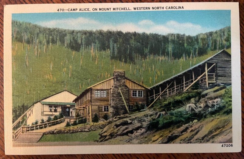 Vintage Postcard 1930-1945 Camp Alice, Mount Mitchell, W. North Carolina (NC)