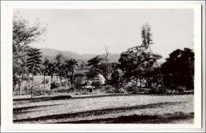 RPPC, Africa, Evidence of White Man