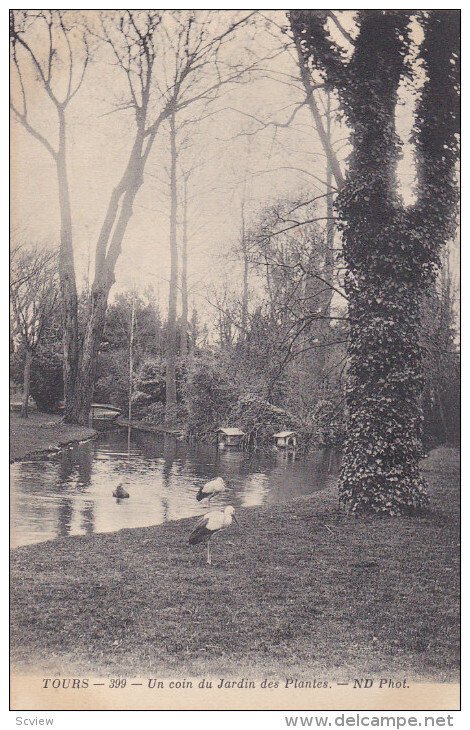 TOURS , France , 00-10s ; Un coin du Jardin des Plantes