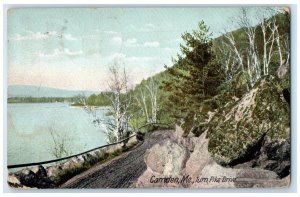 1910 Turnpike Drive Lake Road Trees Camden Warren Maine Antique Vintage Postcard