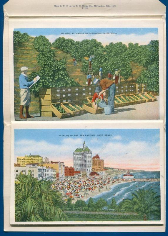 Salutacion Southern California ca souvenir travel postcard folder